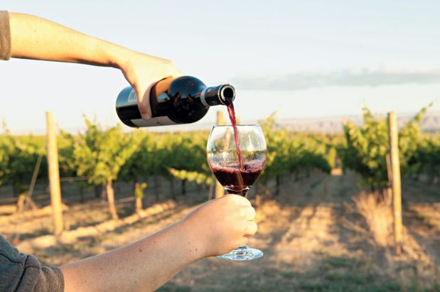 AIA Home of Distinction: A Seattle Architect Takes On the Tiny-Home Challenge