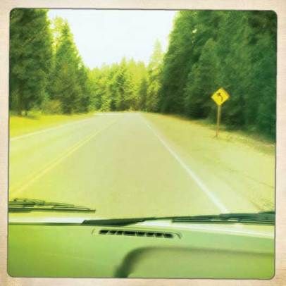 Best Camping Spots: Going Rogue