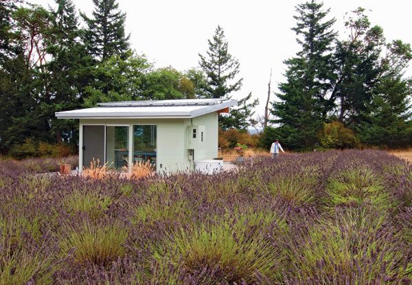 Restful Retreat: A Solar Powered, Petite Potting Shed