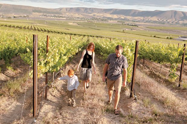 Old Wine Country in Yakima/Red Mountain