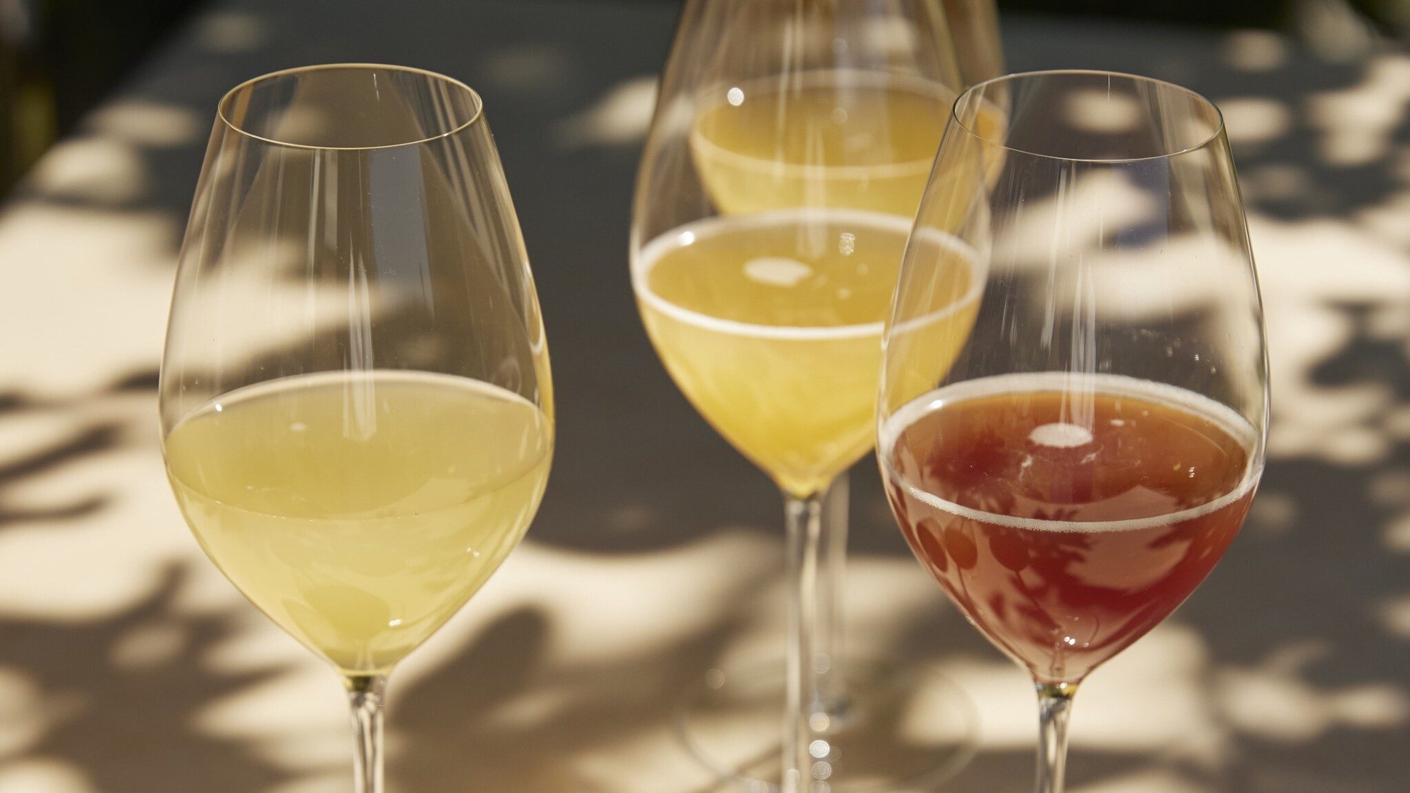 057A9945 Cropped-min