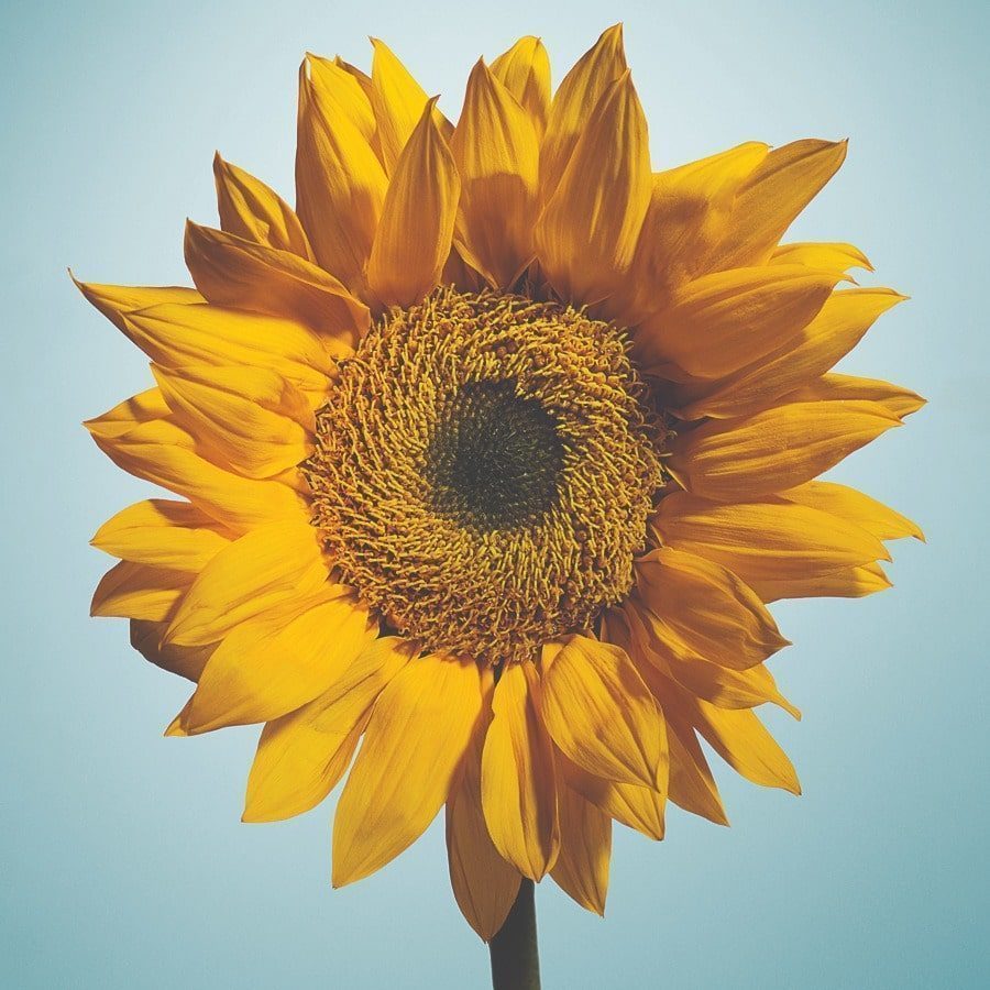 How These Seattle Nonprofits Are Making a Difference