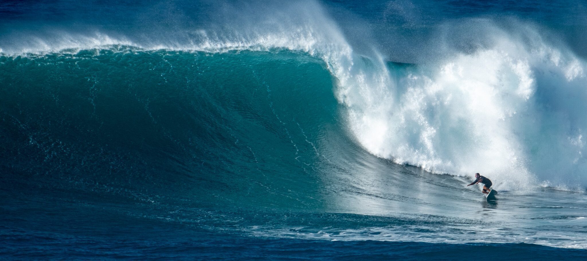 Editorial license.  2019 Big Wave 