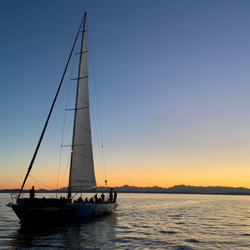 Fave Five: Sail, Stream,  Donate, Create