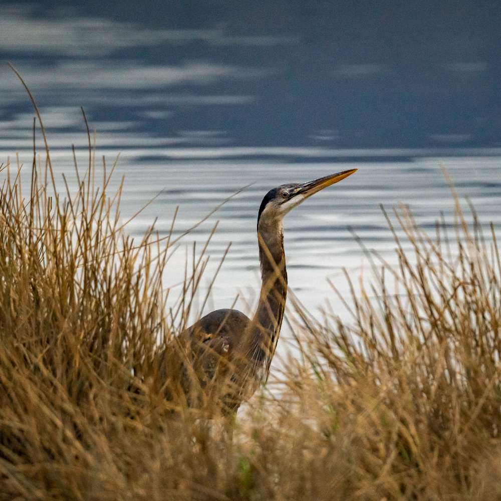 Experience all that Fraser Valley has to offer | Sponsored