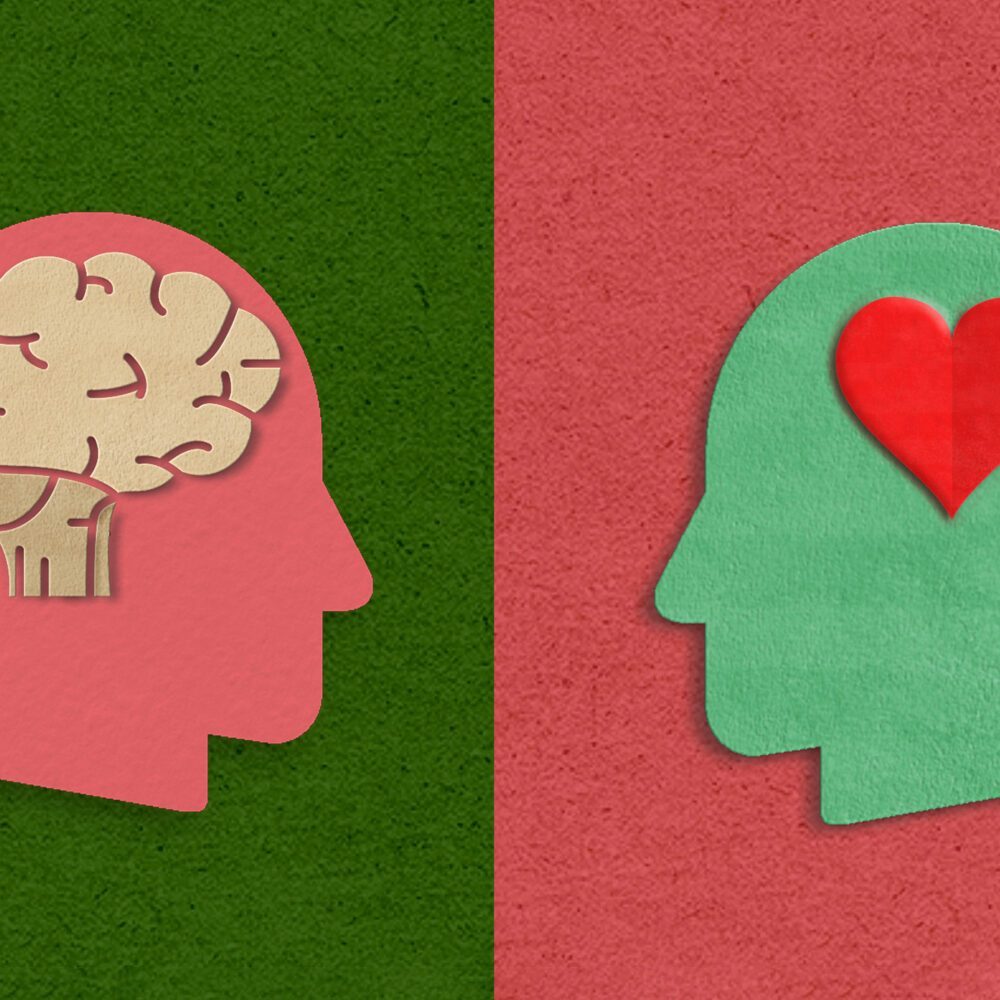 Heartbeat: When Hearts and Heads Collide