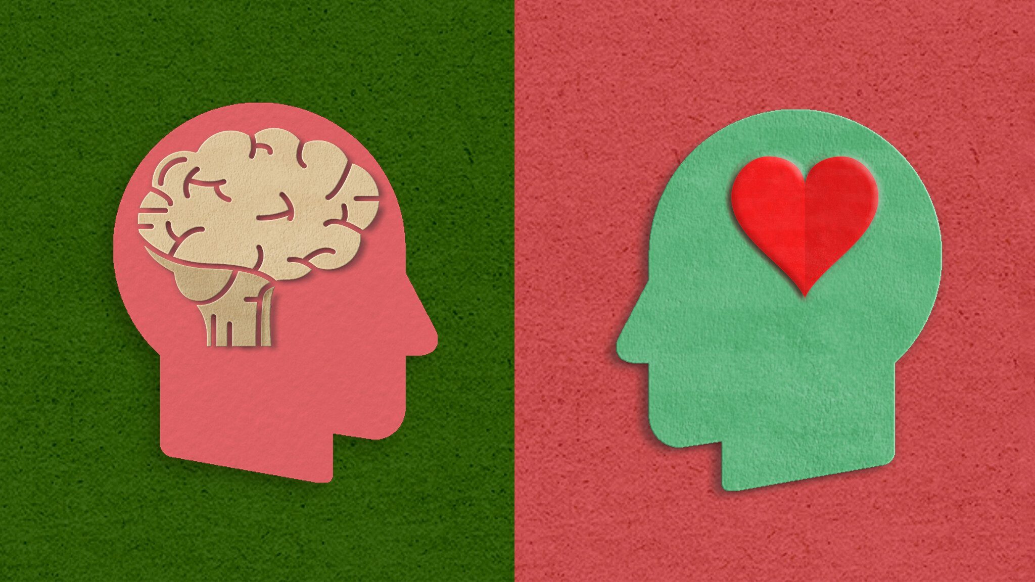 HeartAndBrain_1600x900