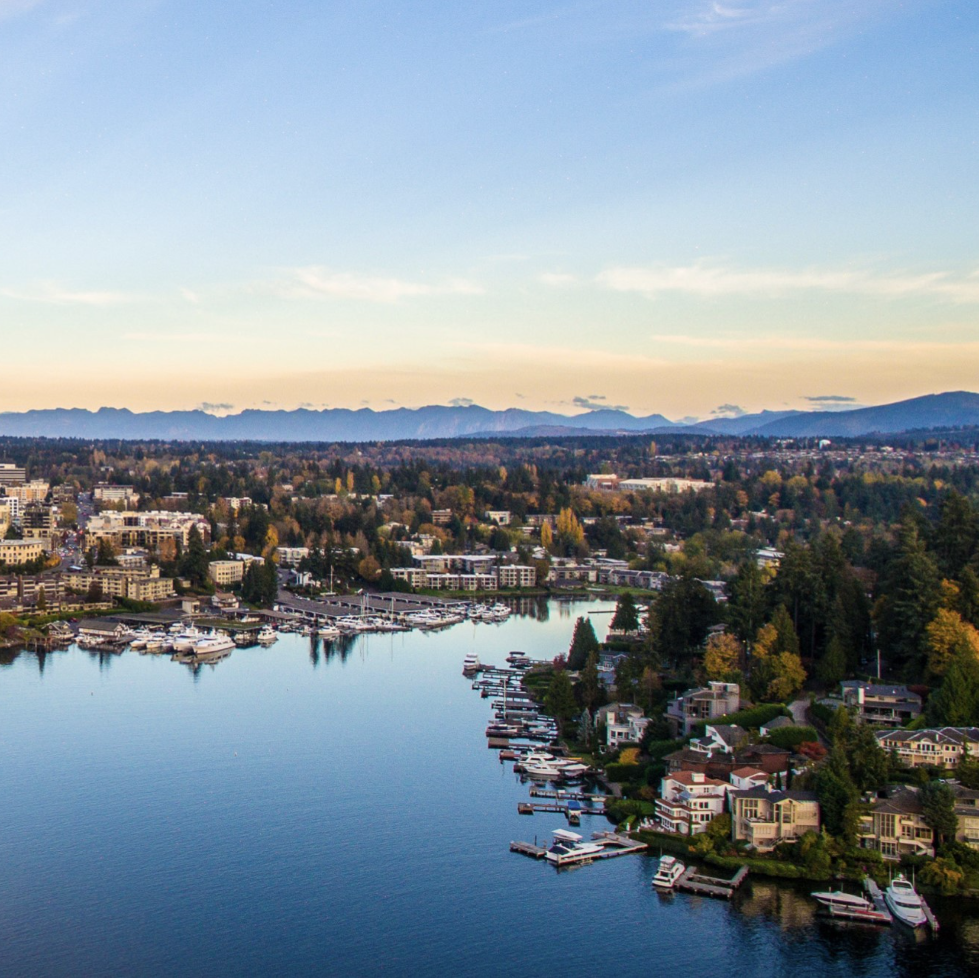 Screen Shot 2023-05-16 at 9.25.22 PM-cropped