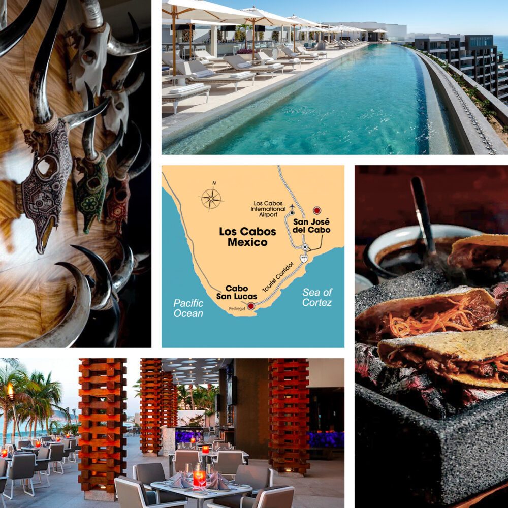 Cabo: A Fresh Take on an Old Favorite