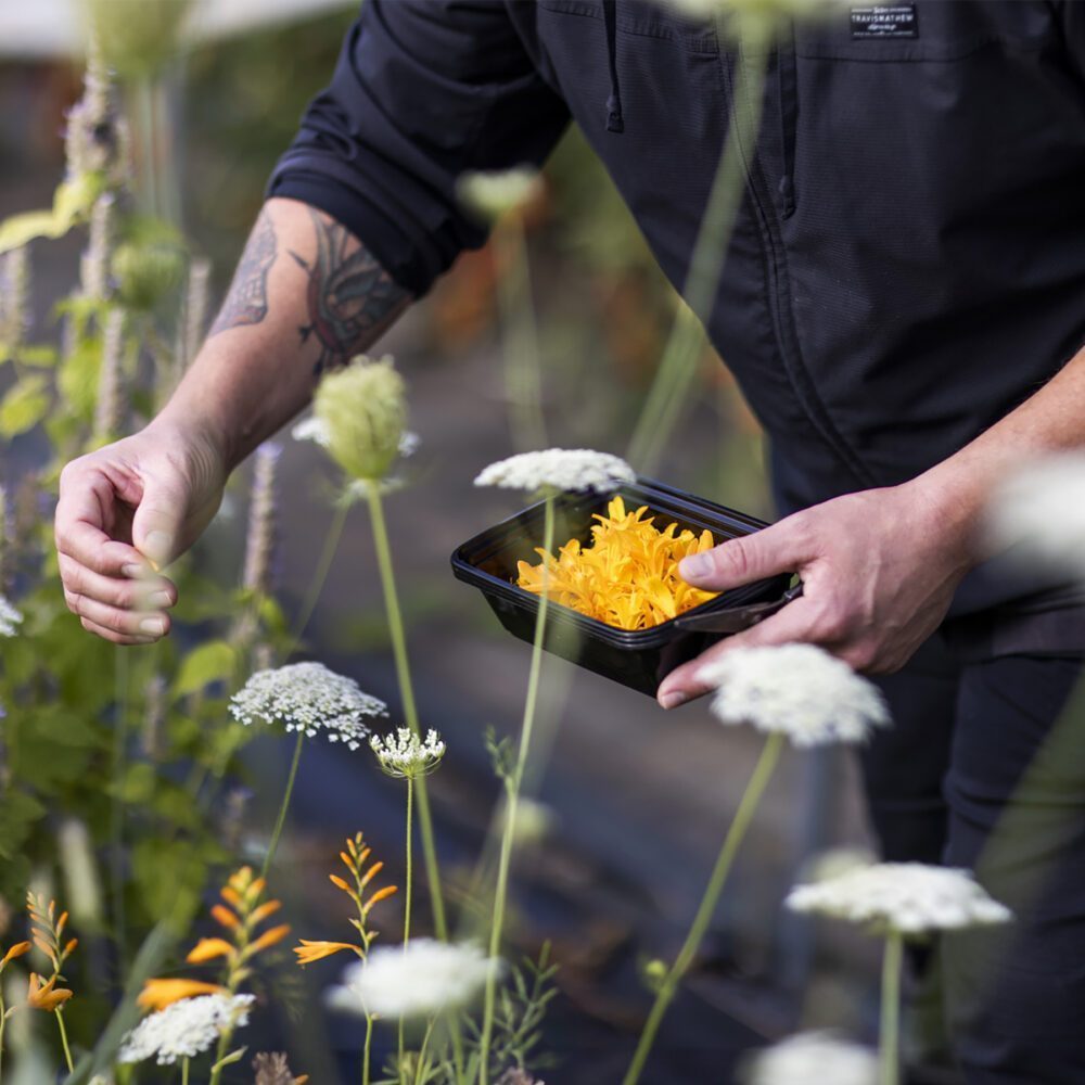 Renewal at the Farm Table