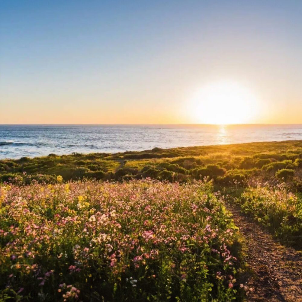 Got to Get to California