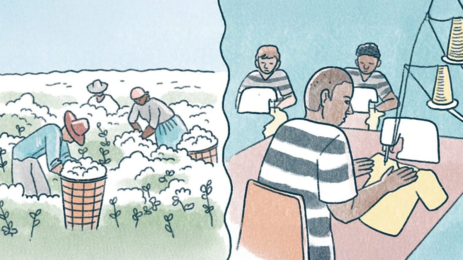 Illustration split between two scenes: left shows people picking cotton in a field, right depicts the troubling reality of prison labor as individuals sew yellow fabric at tables with sewing machines.