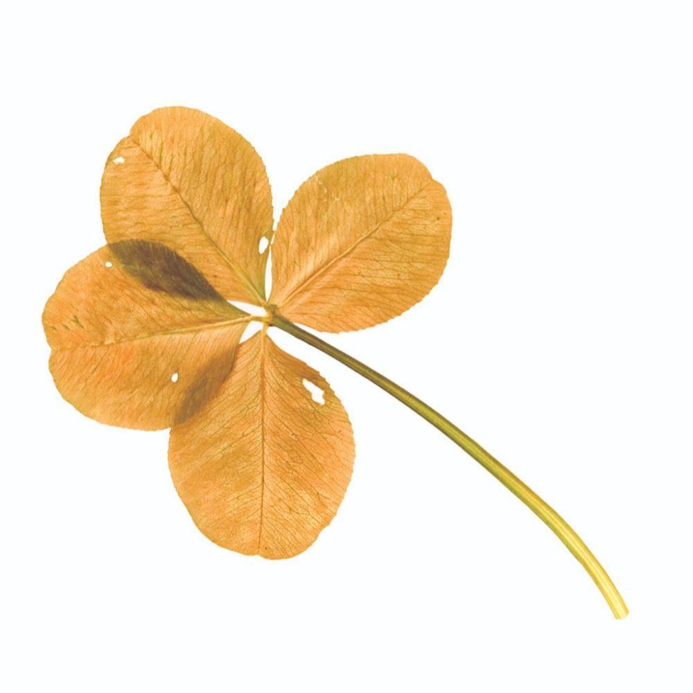 Essentials:  Don’t Bet On It