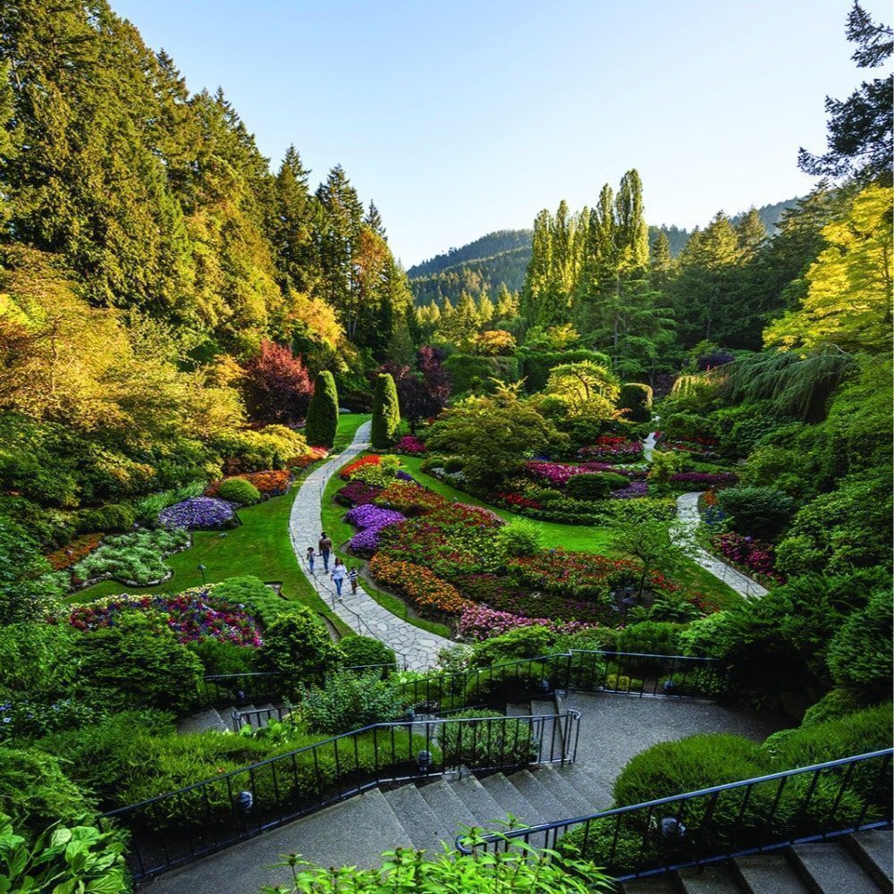 A Magical Ferry Tale