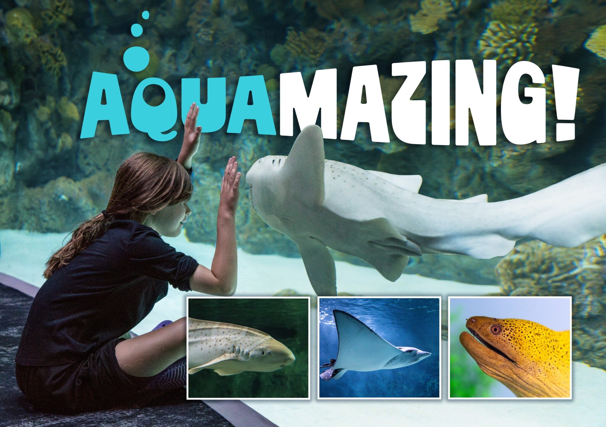 A child touches the glass at the Seattle Aquarium, marveling at a large fish. Text reads "AQUAMAZING!" with images of a ray, a moray eel, and another fish below.