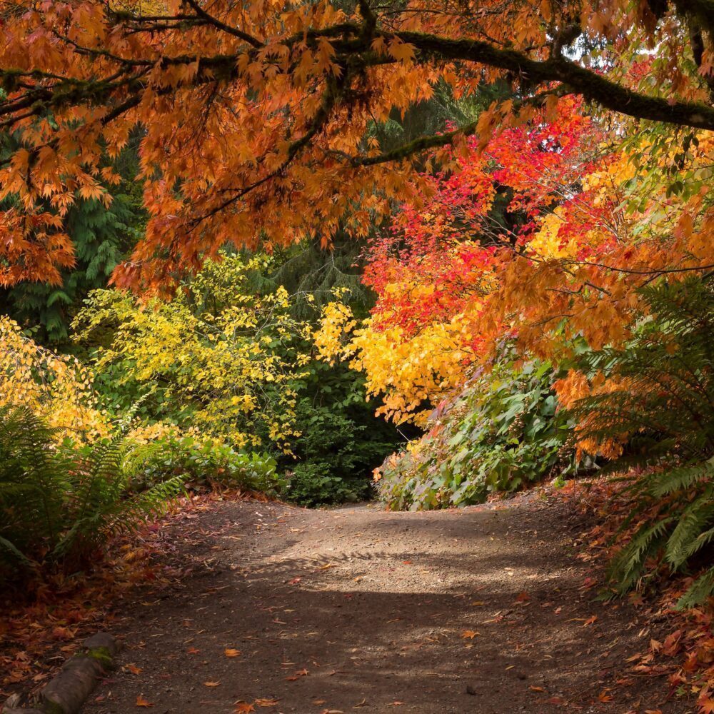 Fave Five: Embracing Autumn