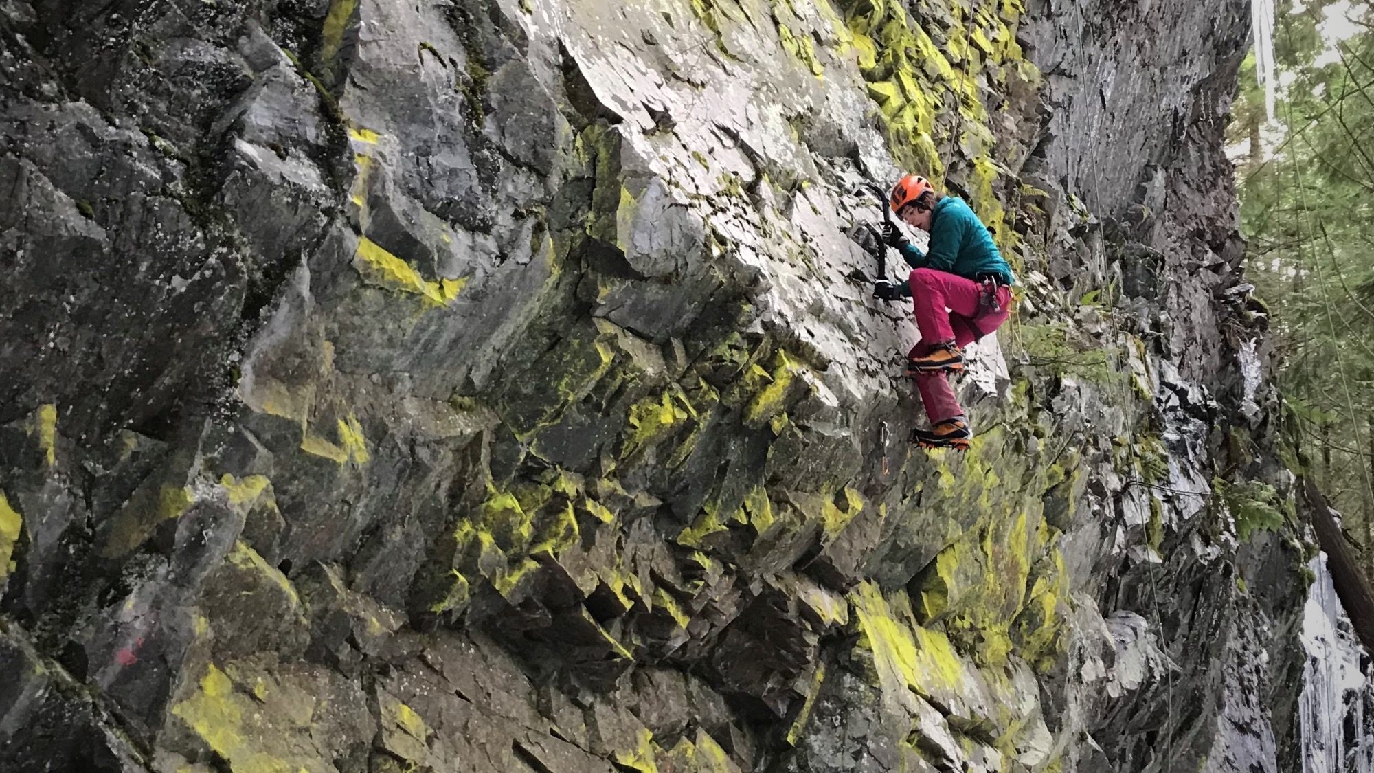 A climber, equipped with spikey tools and wearing a helmet and colorful clothing, ascends a rugged, mossy rock face outdoors.