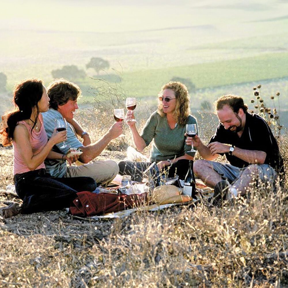 Sip, Swirl, and Stay