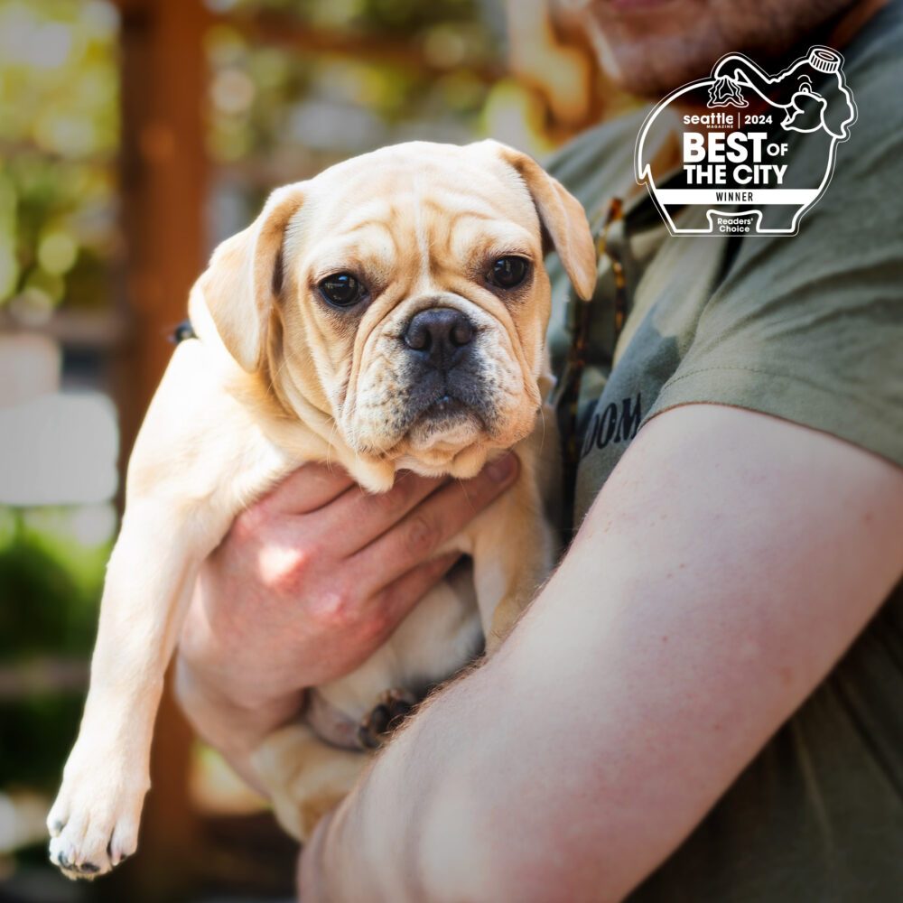 Best Pet-Friendly Restaurant: Beardslee Public House