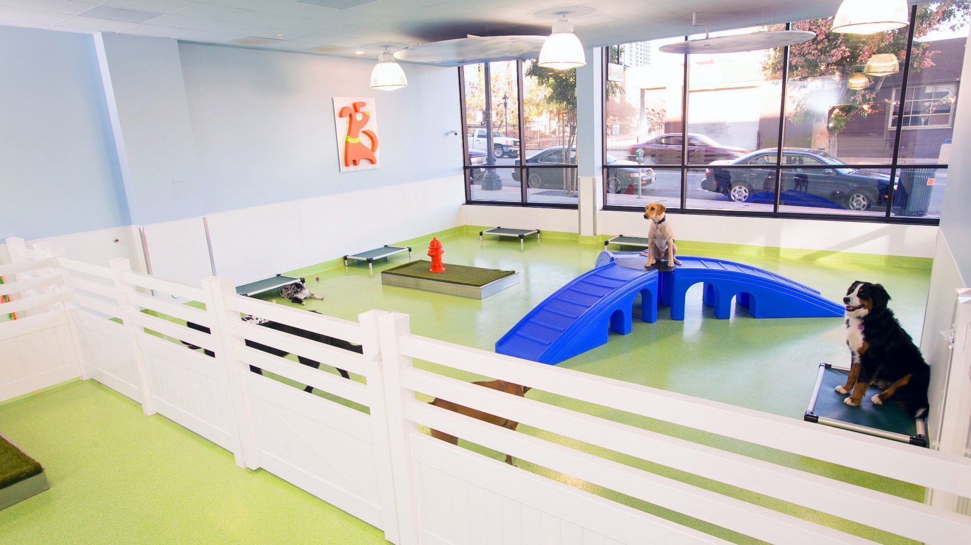 The indoor dog play area at Citydog! Club features two excited pups wagging their tails as they navigate a blue ramp, small platforms, a red hydrant, and green flooring. Sunlight streams through large windows, creating the perfect spot for some energetic wiggles.
