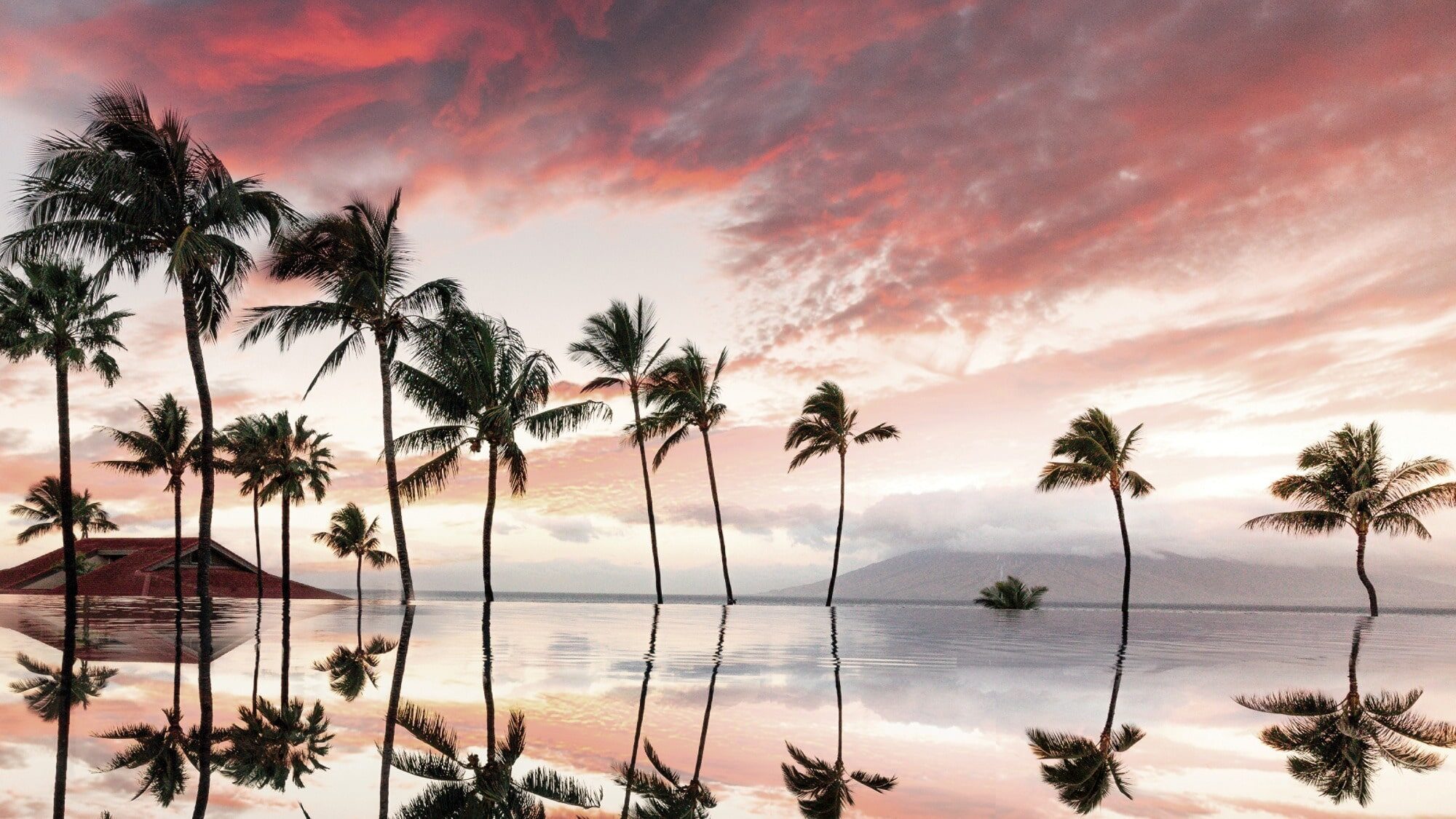 Palm trees reflect in a calm body of water during sunset, with a vibrant sky of pink and orange clouds—a perfect backdrop for evening wellness hacks.