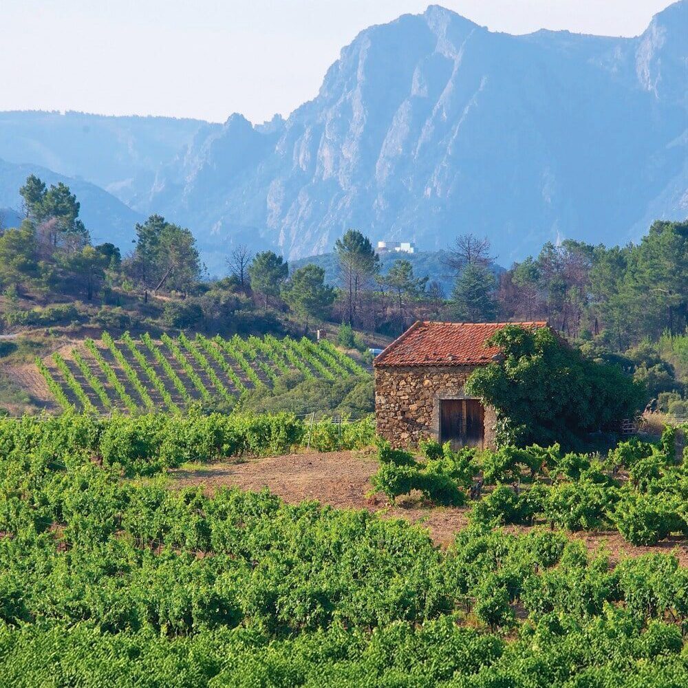 Discovering the Hidden Treasures of Languedoc