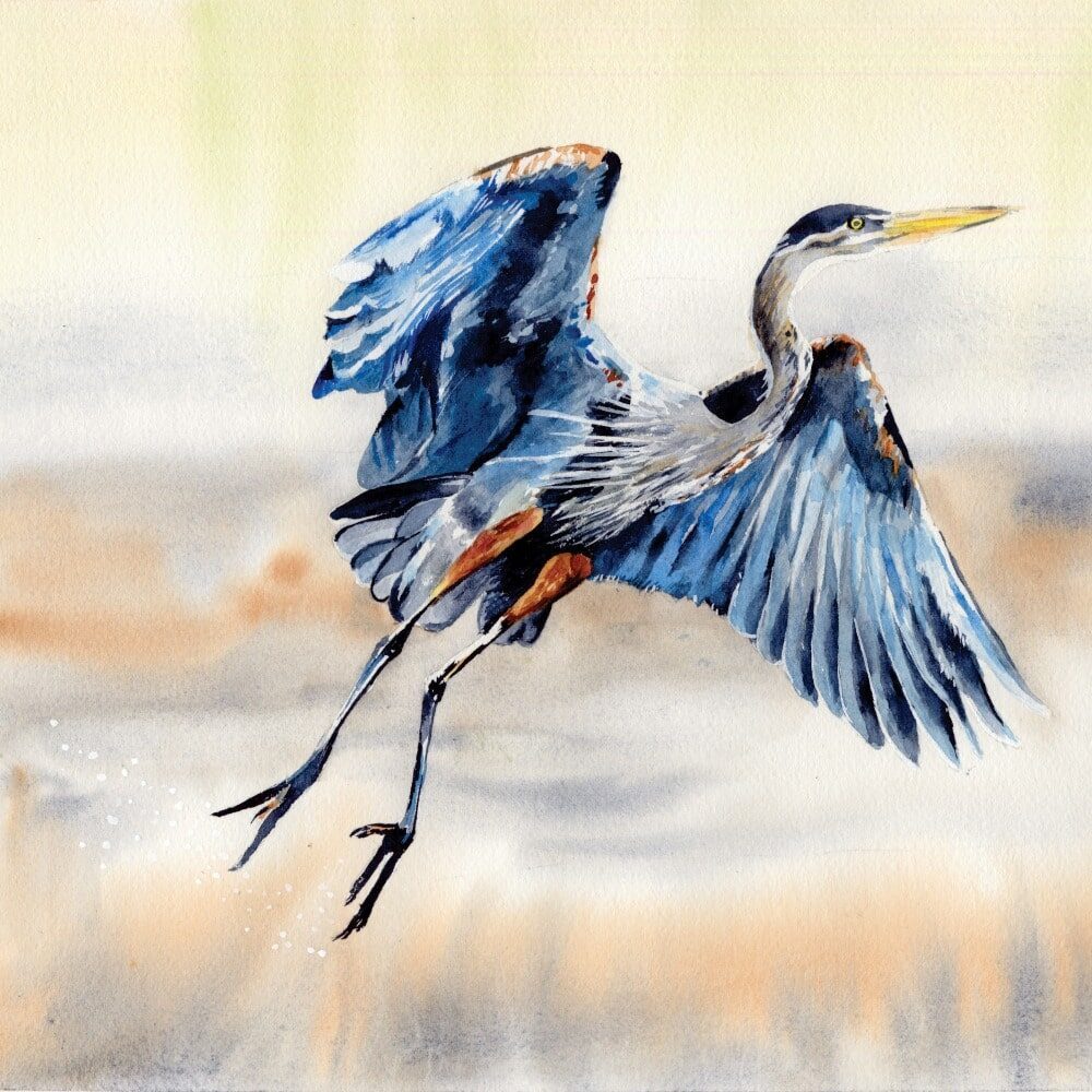 Still Time to Catch Camano’s Studio Tour