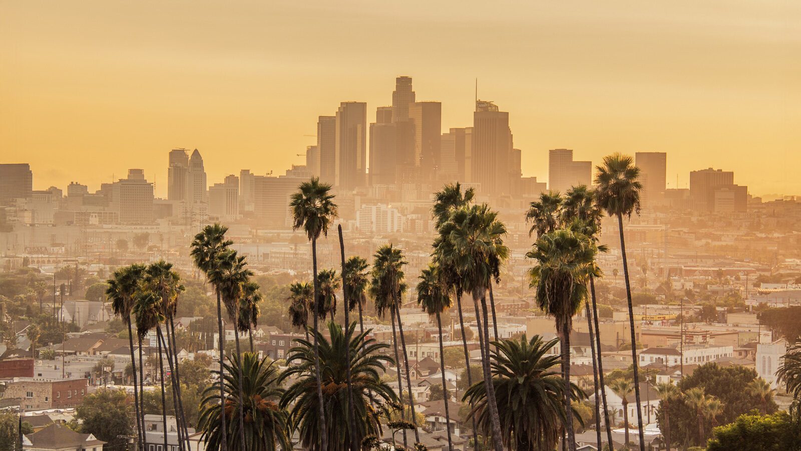 Downtown Los Angeles skyline at sunset, tall palm trees in the foreground and city buildings behind, as smoke fades, hope rises in L.A. beneath a golden sky.