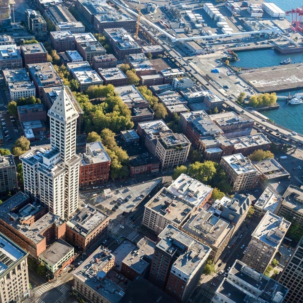 The Pulse: Seattle Is for the Birds