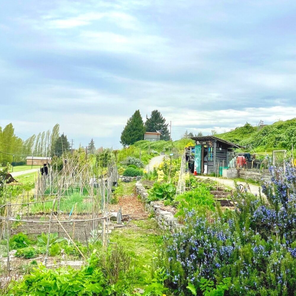 Restaurant Roundup: James Beard Drought, Beacon Food Forest, a Monastery Buffet