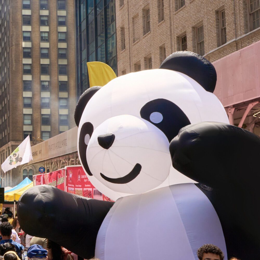 It’s Pandamonium as Panda Fest Hits Seattle