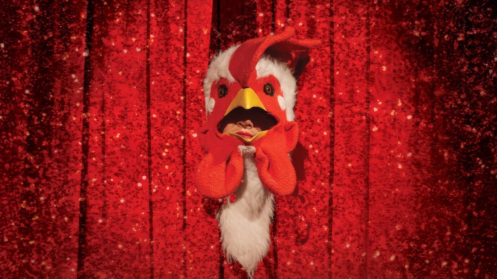 A person wearing a chicken costume peeks through a red, glittery stage curtain, with their face partially visible through the costume's open beak.