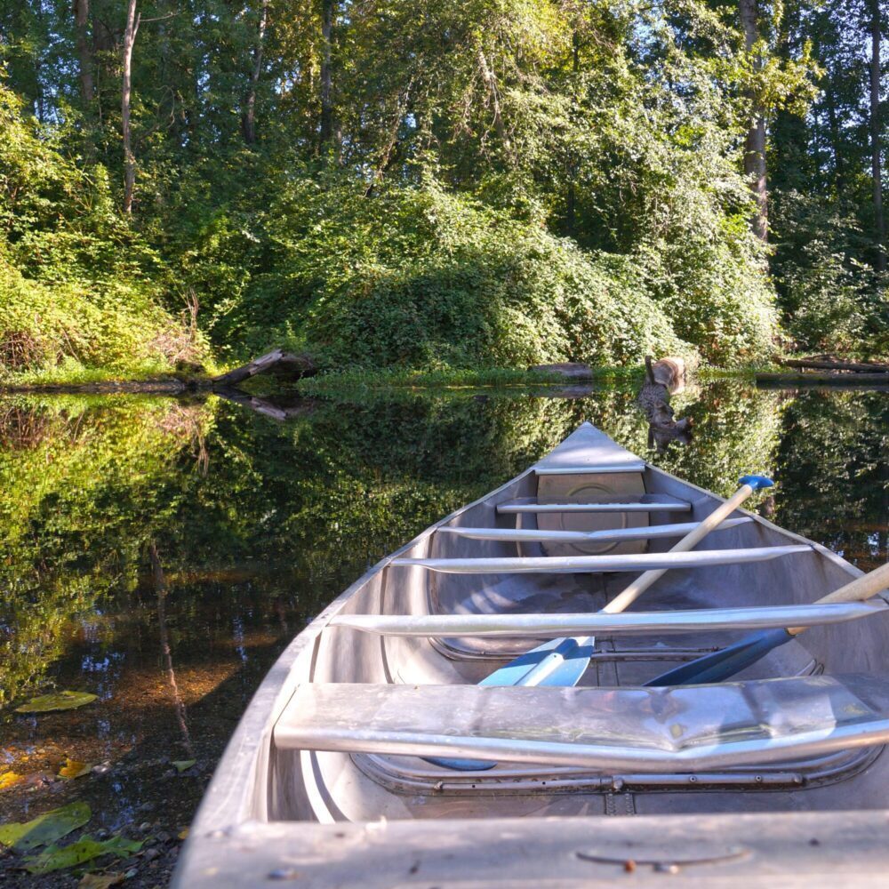 The Pulse: Sun Baked