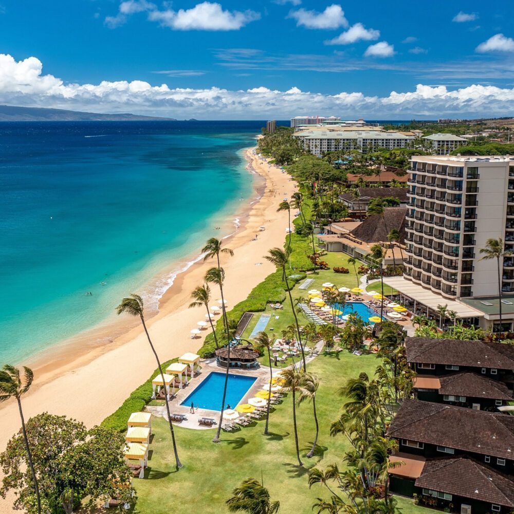 Resilience by the Sea: Return to Lahaina