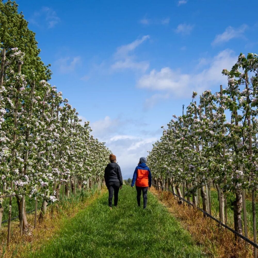 Fave Five: Settling into Fall