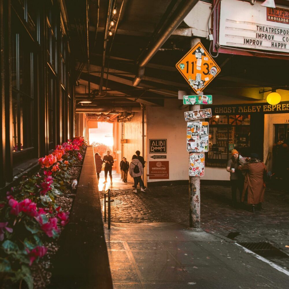 The Pulse: Red Sun Season