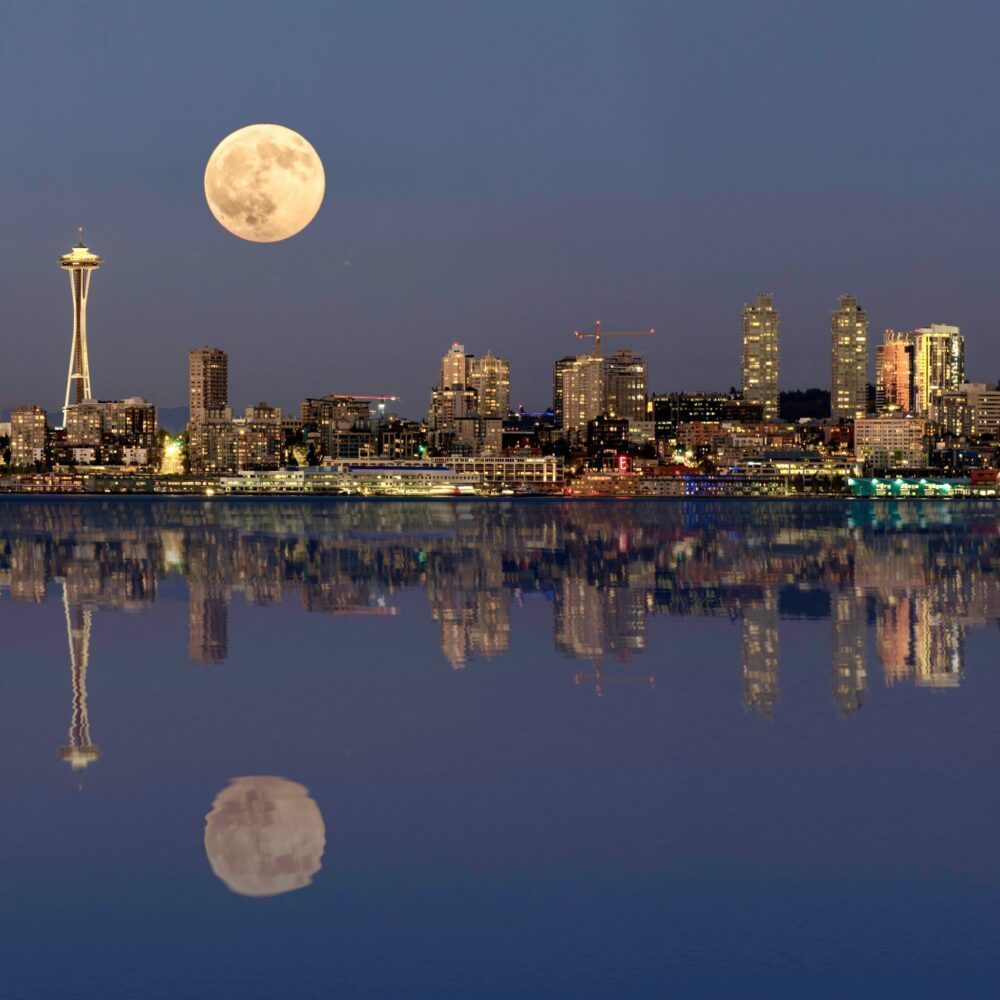 The Pulse: Under the October Moon