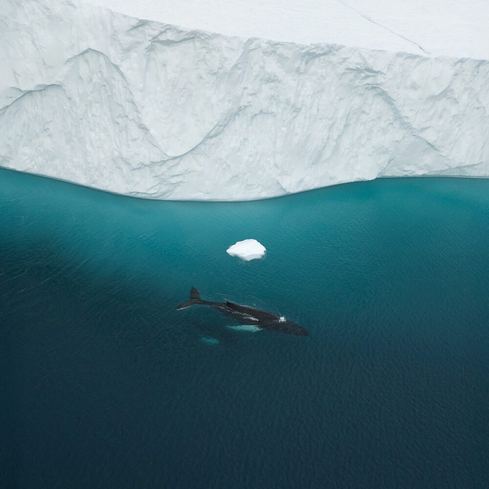 Edge of the Map, Center of the World