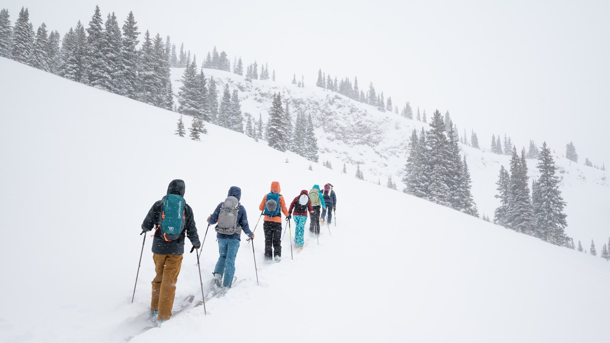 A group of people with backpacks and trekking poles hike in single file through deep snow on a snowy mountain slope with pine trees.