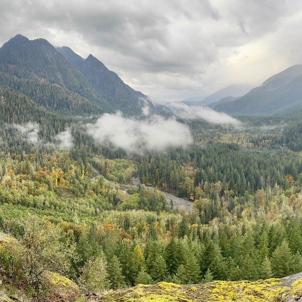 Washington's Wild Middle Fork