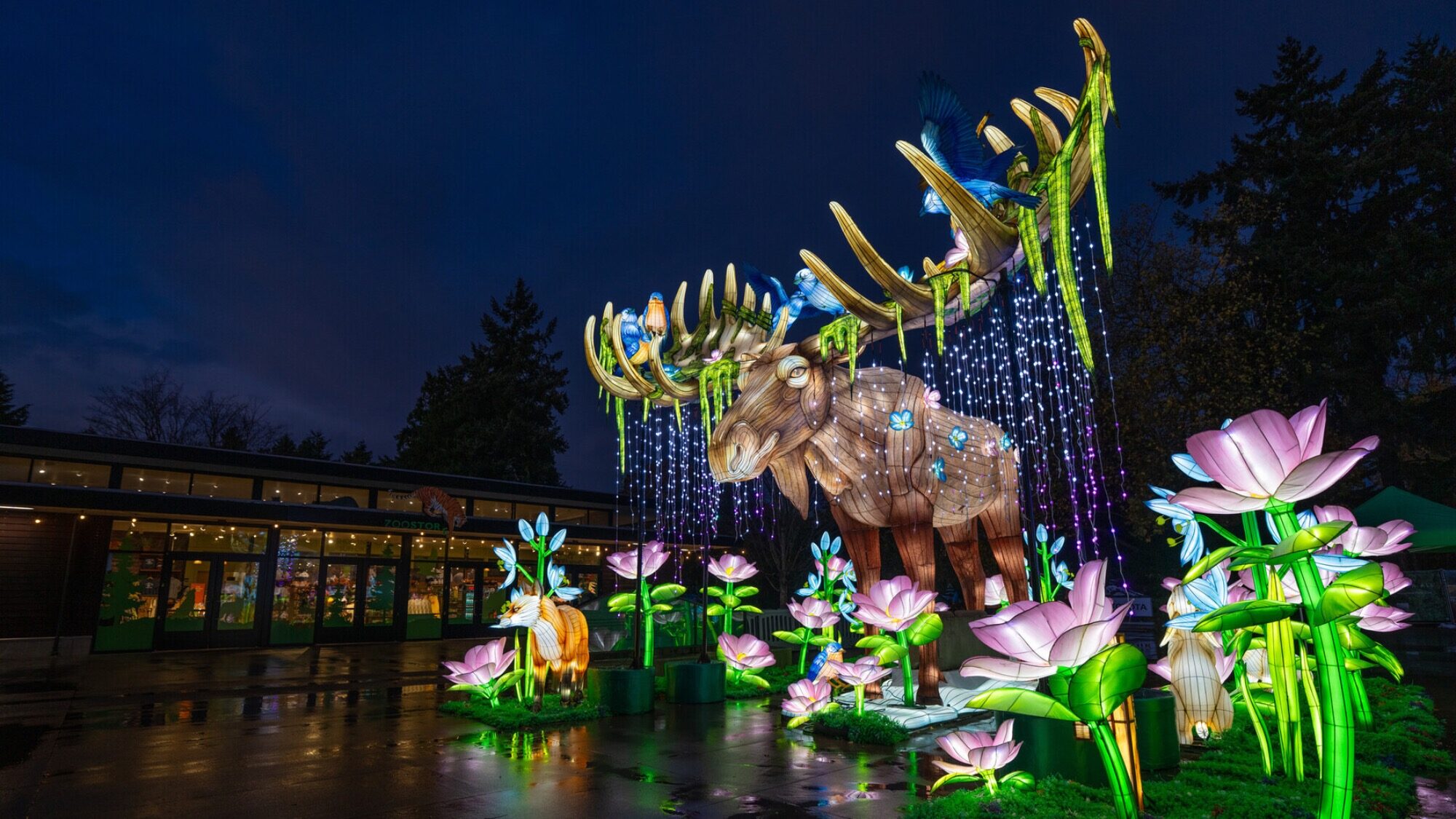 Large illuminated sculptures of a moose, deer, and flowers are displayed outdoors at night, surrounded by trees and string lights.