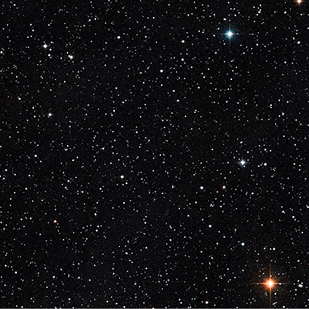 Artist Dylan Neuwirth Explores His Past in a New Short Novel 